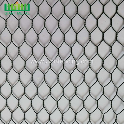 Chicken PVC Coated Hexagonal Wire Mesh Netting